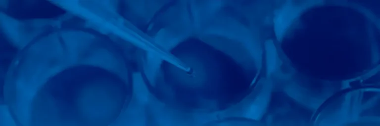 Erste Zertifizierung des Qualitätsmanagements